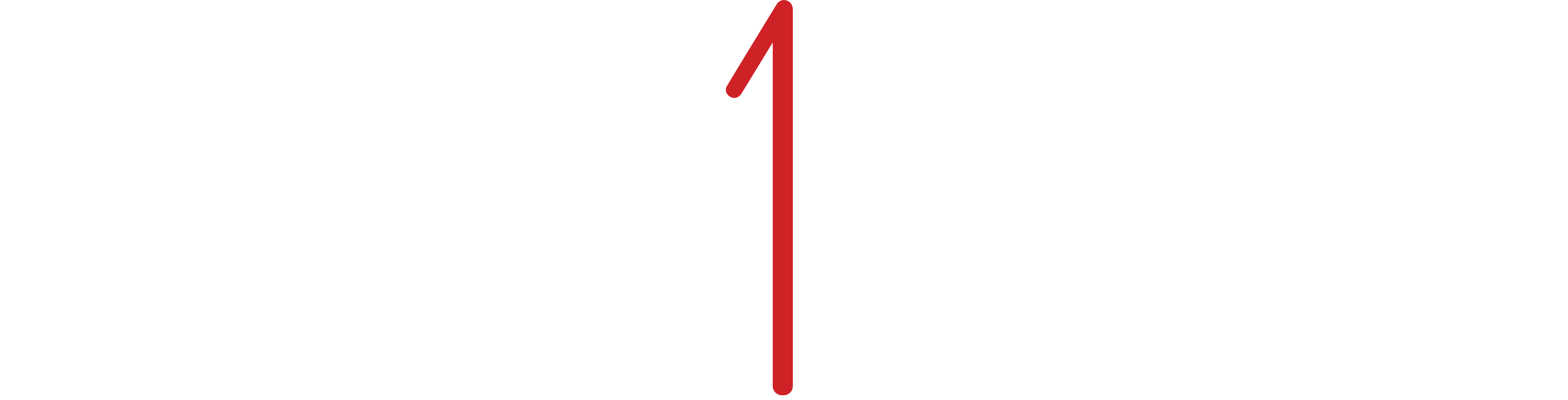 Solu1ions BD logo